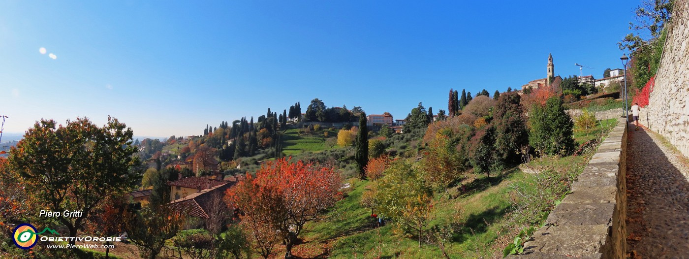 15 Sulla salita dello Scorlazzino esplosione di colori autunnali.jpg